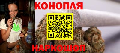 стаф Новозыбков